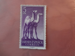 Sahara Spain Camel  (F71) - Africa (Other)