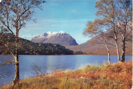 ROYAUME UNI - Liatach From Loch Clair - The Torridons - Ross-Shire - Colorisé -  Carte Postale - Autres & Non Classés