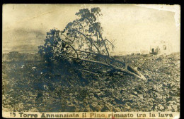 %718 TORRE ANNUNZIATA - IL PINO RIMASTO TRA LA LAVA ( ED. NPG ) - Torre Annunziata