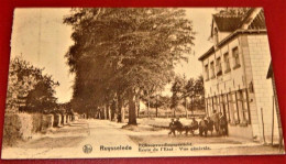 RUISELEDE  - RUYSSELEDE  -  Rijksopvoedingsgesticht  -  Ecole De L' Etat, Vue Générale - Ruiselede