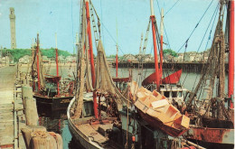 ETATS-UNIS - Massachusetts - Cape Cod - Fishing Draggers At The Dock - Carte Postale Récente - Cape Cod