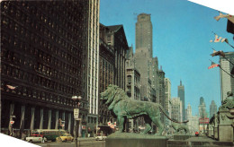 ETATS-UNIS - Chicago - Michigan Avenue Lions - Carte Postale - Chicago