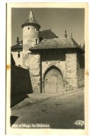 CPSM GEP  9 X 14 Isère  THEYS Le Château - Theys