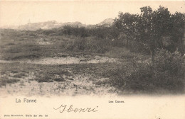 BELGIQUE - La Panne - Les Dunes - Carte Postale Ancienne - De Panne