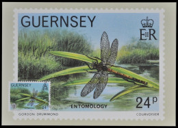 Guernsey 1982 - Mi-Nr. 248 - Maxikarte - Libelle / Dragonfly - Guernesey