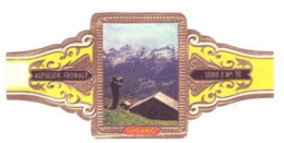 Bague De Cigare Suisse ALPSEGEN FRONALP   N° 51 Cigar Bands - Bauchbinden (Zigarrenringe)