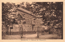 BELGIQUE - Seneffe - Château De L'Espinette - Carte Postale Ancienne - Seneffe