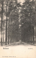 [-5%] BELGIQUE - Mariemont - La Drève - Carte Postale Ancienne - La Louviere