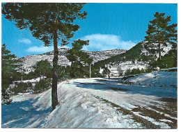 PAISAJE / LANDESCAPE.- VIRGEN DE LA VEGA.- TERUEL.- (ESPAÑA ). - Teruel