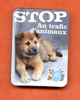 Magnet  SPA Stop Au Trafic D'animaux  Chien - Magnetos