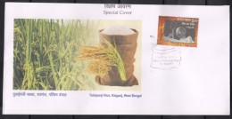 India  2017  Tulaipanji Rice, Raiganj, West Bengal  SILIGURI   Special Cover   #  08483  A & D  Inde Indien - Storia Postale