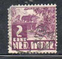 DUTCH INDIA INDIE INDE NEDERLANDS HOLLAND OLANDESE OLANDESI INDIES 1933 1937 RICE FIELD SCENE 2c USED USATO OBLITERE' - Nederlands-Indië