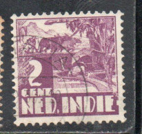 DUTCH INDIA INDIE INDE NEDERLANDS HOLLAND OLANDESE OLANDESI INDIES 1933 1937 RICE FIELD SCENE 2c USED USATO OBLITERE' - Nederlands-Indië