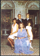 CHAT L 87 - MONACO Carte Avec Famille Princière Affranchie Et Oblitérée 1977 - Covers & Documents