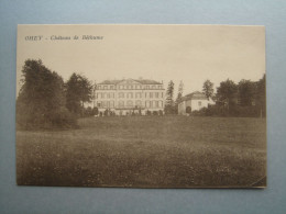 OHEY - Château De Béthume - Ohey