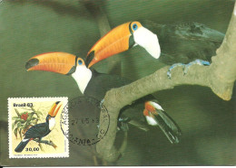 Carte Maximum - Oiseaux - Brasil Bresil - Tucano Toco - Toucan - Rhamphastos Toco - Cartes-maximum