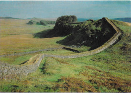 HADRIAN'S WALL AT HOUSESTEADS, NORTHUMBERLAND, ENGLAND. USED POSTCARD   Wp7 - Autres & Non Classés