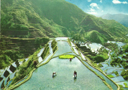 RICE TERRACES, MOUNTAIN, PHILIPPINES - Philippines