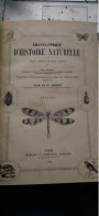 Annelés Encyclopèdie D'histoire Naturelle DR CHENU E. DESMAREST 1859 - Enzyklopädien