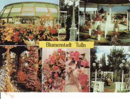 Austria, Lower-Austria, Tulln, Blumenstadt, Ungebraucht - Tulln