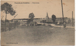 Belgique  HAMOIS-en-CONDROZ - Panorama (carte Pas Courante) - Hamois