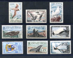 RC 26520 TAAF COTE 264€ N° 12 / 17 SÉRIE FAUNE DONT OTARIE NEUF ** MNH TB - Nuevos