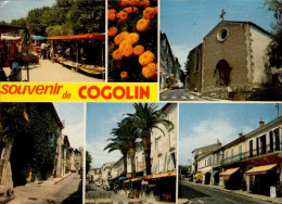COGOLIN    ( VAR )   SOUVENIR DE COGOLIN - Cogolin