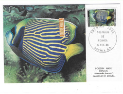 NOUVELLE -CALÉDONIE ET DÉPENDANCES  AQUARIUM DE NOUMÉA 19 Fev 1986. (très Belle Carte ) - Covers & Documents