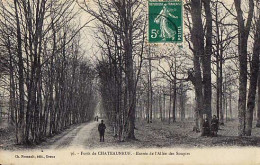 28 - Forêt De CHATEAUNEUF - Entrée Et Allée Des Soupirs - Châteauneuf