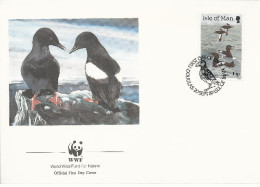 26008 ) GB UK Isle Of Man WWF 1989 Bird  - Storia Postale