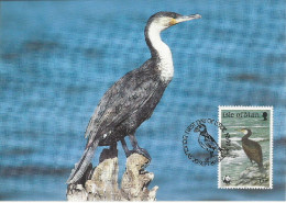 26013 ) GB UK Isle Of Man WWF 1989 Bird   - Lettres & Documents