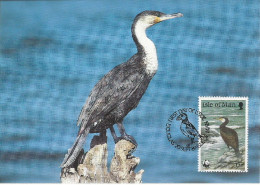 26013 ) GB UK Isle Of Man WWF 1989 Bird   - Storia Postale