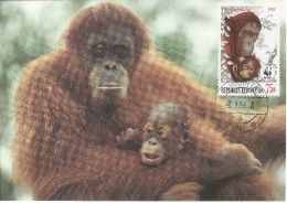 26028 ) Indonesia WWF 1989  Orangotan Monkey Ape Mammal Postcard Maxi Cover - Covers & Documents