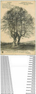 80 LUCHEUX. L'Arbre Aux Epousailles 1915 - Lucheux