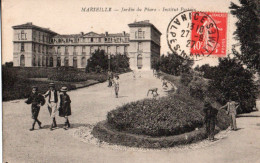 13  MARSEILLE JARDIN DU PHARO INSTITUT PASTEUR - Parcs Et Jardins