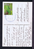 Gc6053 BOLIVIA Drogue Coca Sheet Flora Vegetables Flora Fleurs Flowers Postcard Landscape Mailed - Groenten