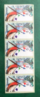 España Spain 1996, ATM ETIQUETA, PINTURA, Tira De 5 Etiquetas Blancas / Strip Of 5, Nuevos ** - Vignette [ATM]