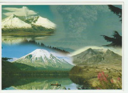 USA.Éruption Du Mont Saint Helens En 1980.  (Impact Photographics) - Vulcani