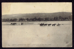 CPA 06 - 764. SAINT LAURENT DU VAR - L'EXTRACTION DU SABLE DANS LE VAR - Saint-Laurent-du-Var