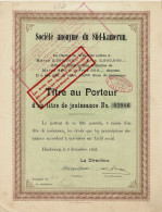 Titre De 1898 - Société Anonyme Du Süd-Kamerun - Afrika