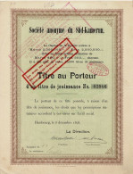 Titre De 1898 - Société Anonyme Du Süd-Kamerun - Afrique