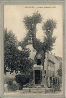 CPA (83) SALERNES - Thème: ARBRE - Aspect De L'Ormeau Légendaire Planté En 1683 - Salernes