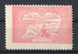 1923 TURKEY STAMP IN AID OF THE TURKISH SOCIETY FOR THE PROTECTION OF CHILDREN MNH ** - Charity Stamps