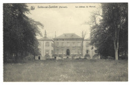 Belgique  -  Soiresur Sambre  - Hainaut  -  Le Chateau  Du Moncel - Erquelinnes