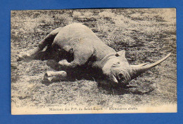 CPA     Mission Des P.P.du Saint Esprit.   Rhinocéros Abattu - Rhinocéros