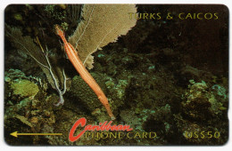 Turks & Caicos - Trumpet Fish - 1CTCA - Turks & Caicos (Islands)