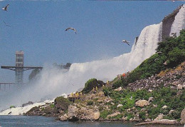 AK 183150 CANADA - Ontario - Niagara Falls - Chutes Du Niagara