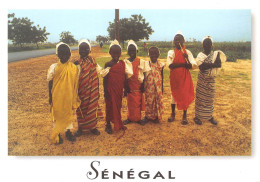 SENEGAL  Jeunes Circoncis   N° 42 \MK3019 - Sénégal