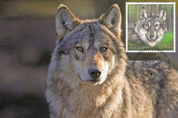 Estonia 2021 - Estonian National Animal – The Wolf Carte Maximum - Estonie