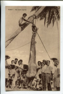 Fidji  Requin Soeurs Missionnaires De La Société De Marie Chemin Du Signal - Fiji